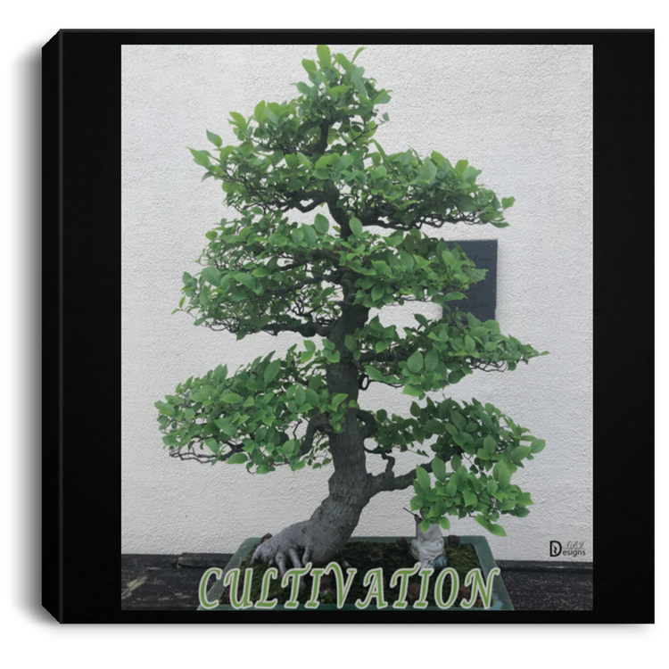 Cultivation - Square Canvas .75in Frame