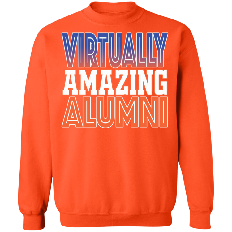 Virtually Amazing Alumni - SSU