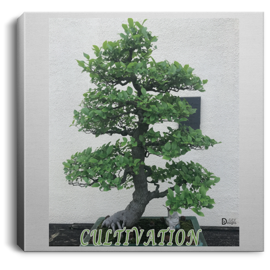 Cultivation - Square Canvas .75in Frame