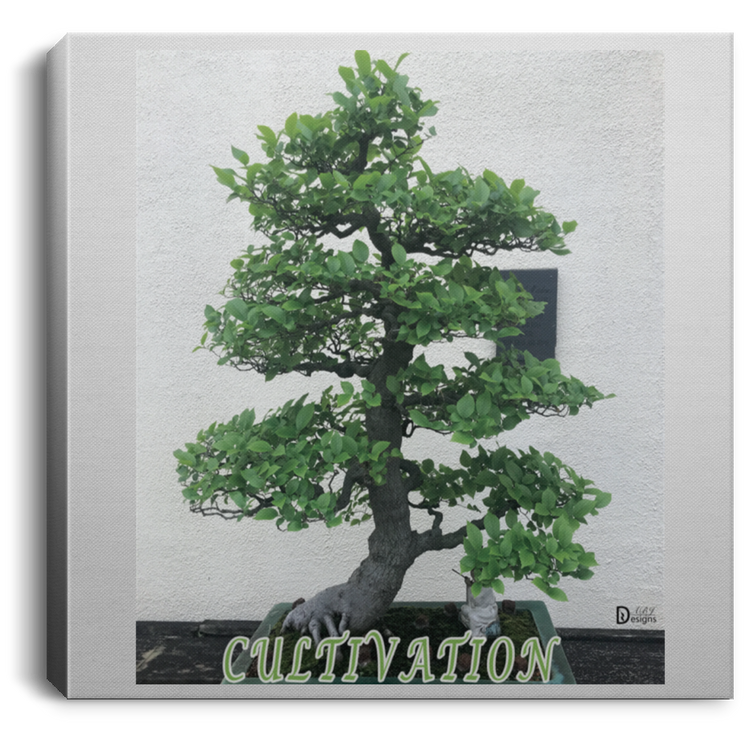 Cultivation - Square Canvas .75in Frame