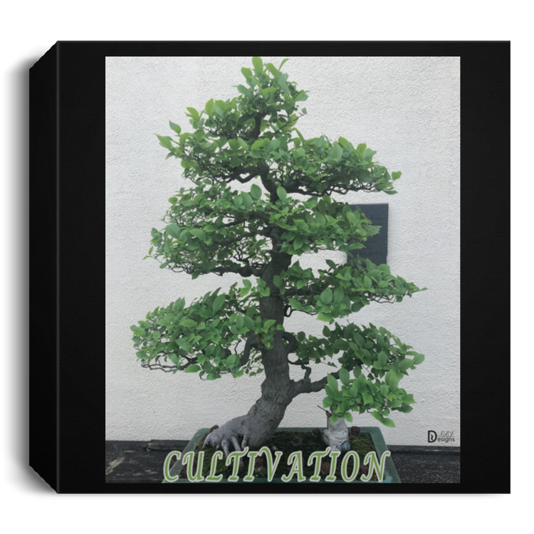 Cultivation - Deluxe Square Canvas 1.5in Frame