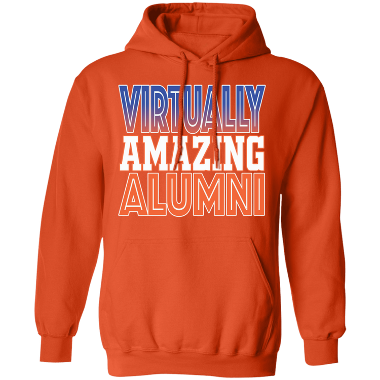 Virtually Amazing Alumni - SSU