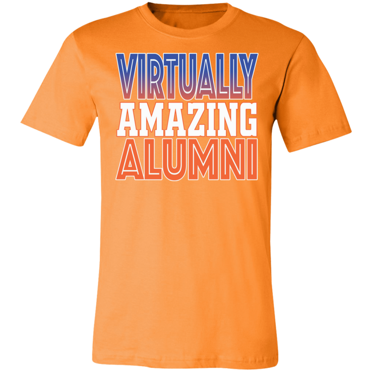 Virtually Amazing Alumni - SSU