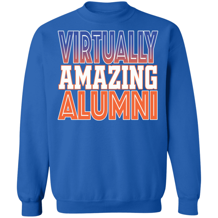 Virtually Amazing Alumni - SSU