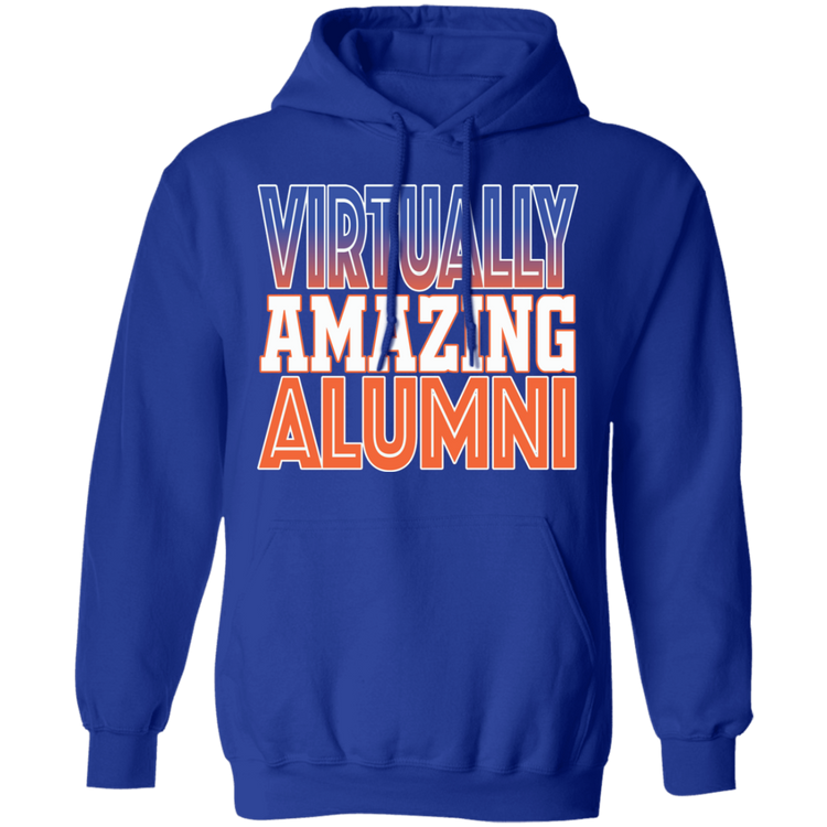 Virtually Amazing Alumni - SSU