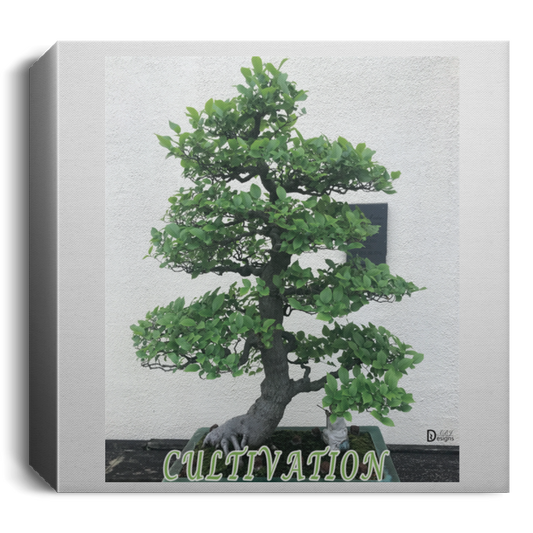 Cultivation - Deluxe Square Canvas 1.5in Frame