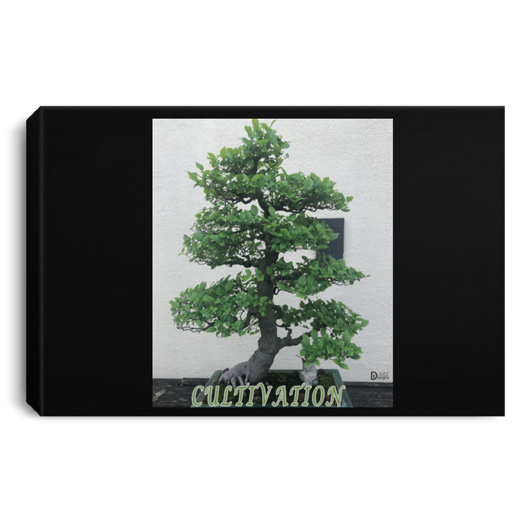 Cultivation - Landscape Canvas .75in Frame