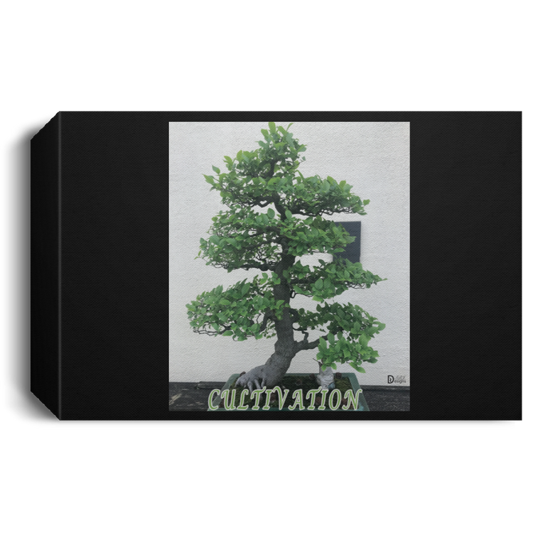 Cultivation - Deluxe Landscape Canvas 1.5in Frame